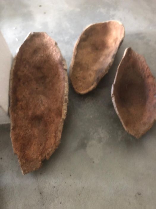 Cochos de Cortiça Fruteira de Cortiça