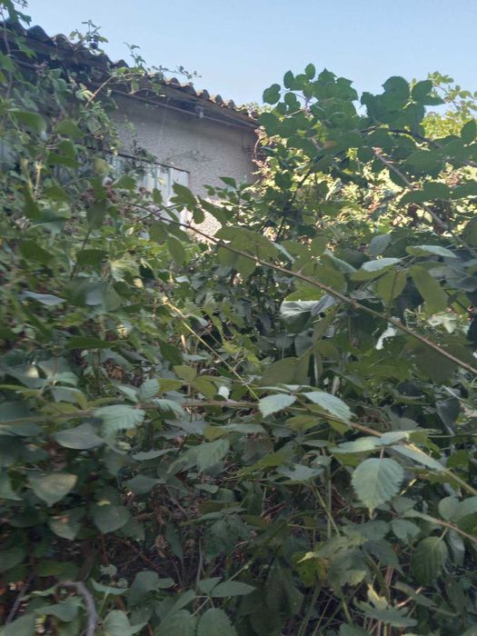 Продам участок 5 соток с полным пакетом документов в  Киевском районе