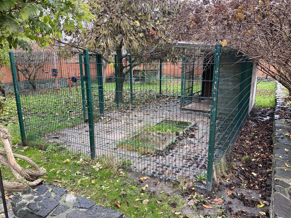 Вольер для собаки