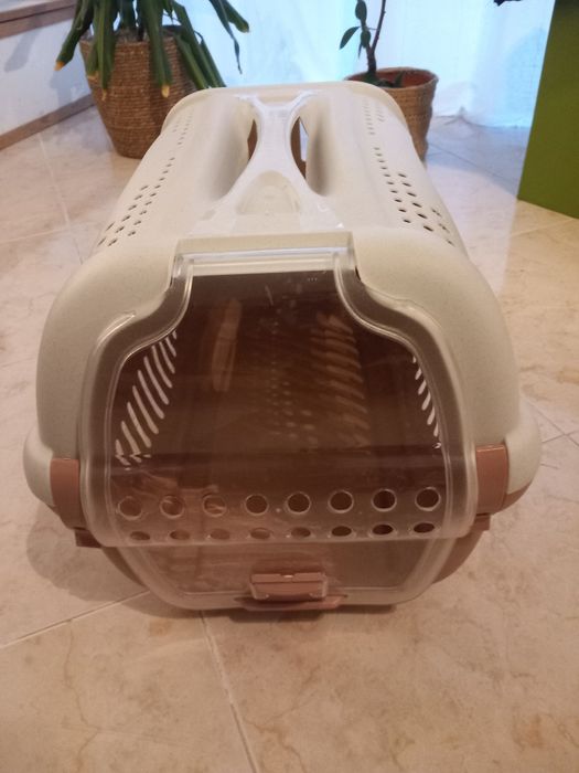 Transportadora animais