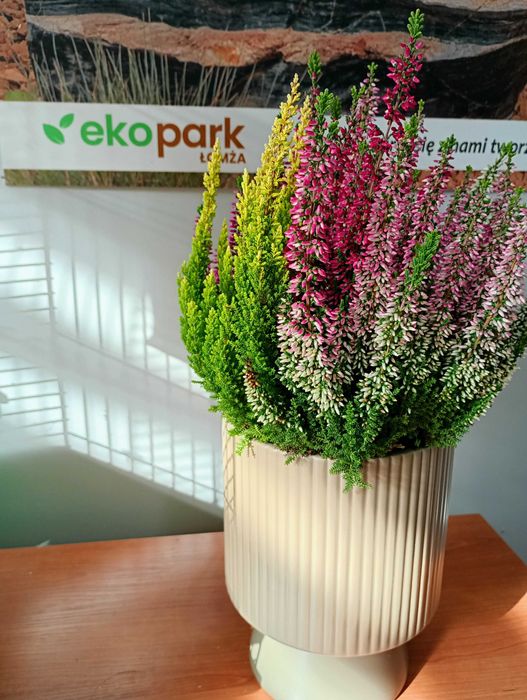 Pellet Fuoco Pulito  ENplus® A1 Eko Park Łomża