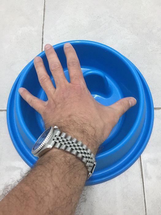 Comedouro retardador grande para cães esfomeados