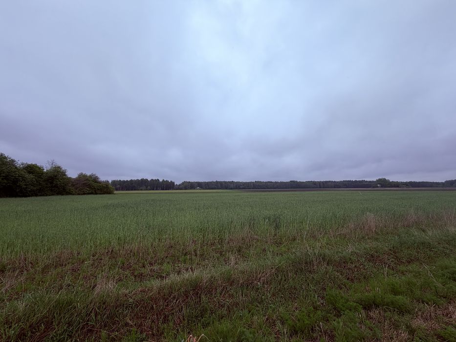 Sprzedam Pilnie dzialki budowlane z Warunkami zabudowy - Więcej