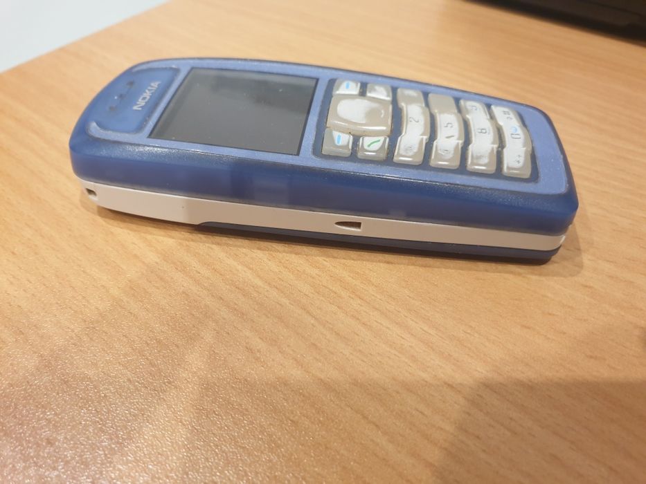 Nokia 3100