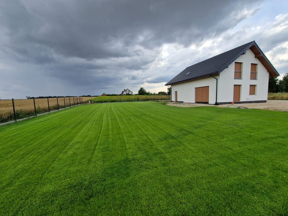 Trawniki z siewu #Glebogryzarka Separacyjna #nawadnianie