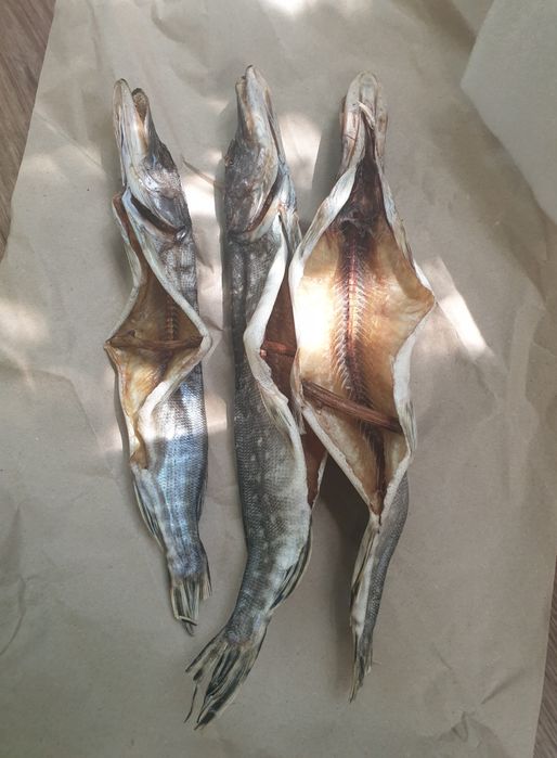 Икра щучья. Ікра щуки сушена Толстолоб кета