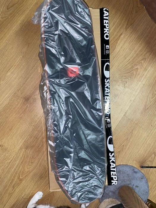 Skate Hydroponic Pool Shape Tony Completo