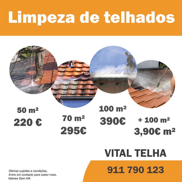 Especialistas em Telhados restauro e construção