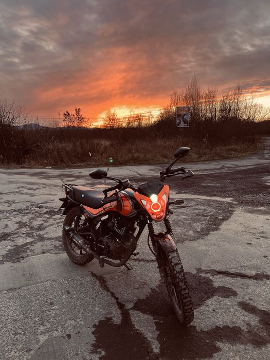 Продам Мустанг фості