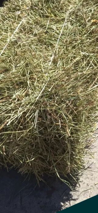 Siano  i Słoma w kostkach