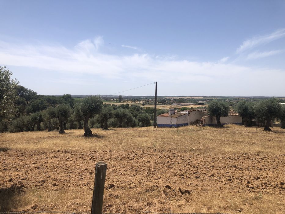 Terreno em Motrinos - Monsaraz