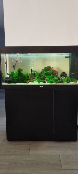 Aquário Juwel Rio 180 LED + Móvel SBX + Filtro Externo Aqua Nova + Decoração