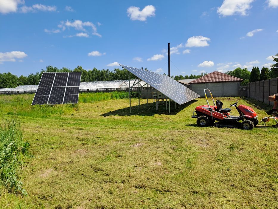 Frezowanie pni wycinka drzew