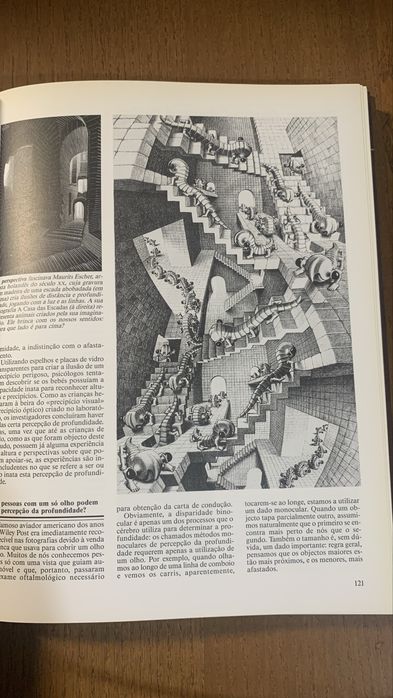 ABC da mente humana