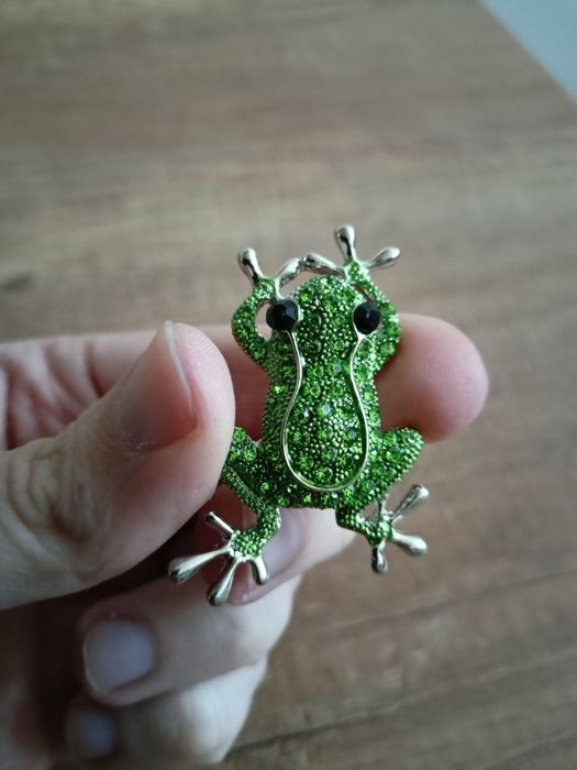 Broszka Żaba Frog