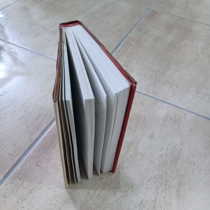 Problemas e exercicios de Análise Matemática, Demidovitch