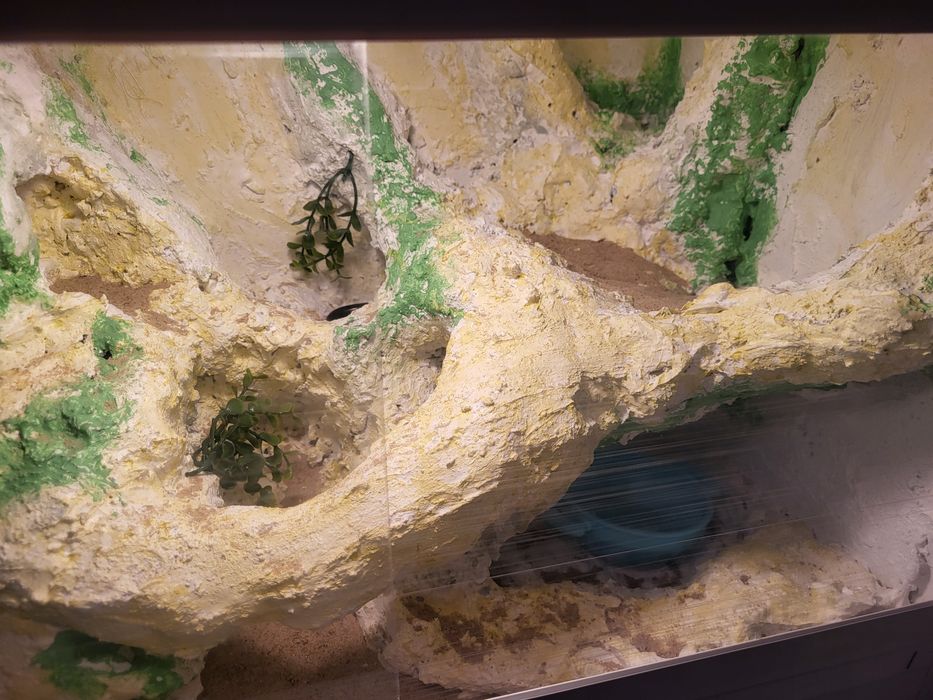 Terrarium samorobne