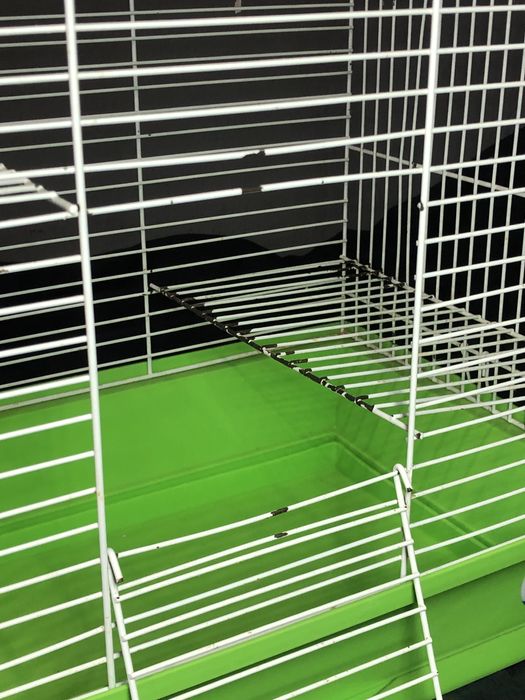 Клітка для гризунів