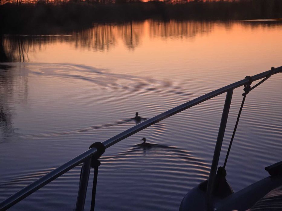 Wynajem łodzi bez patentu | Houseboat Żuławy | Gdańsk | Wakacje 2026