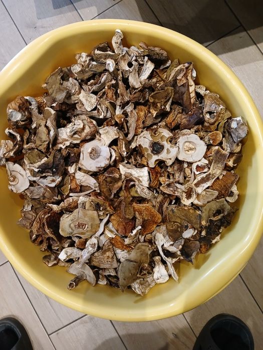 Grzyby  Prawdziwki suszone