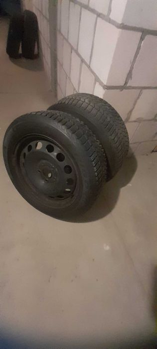 Sprzedam kolo wieloroczne.
