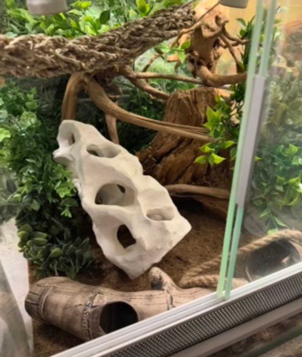 Декор в акваріум/тераріум