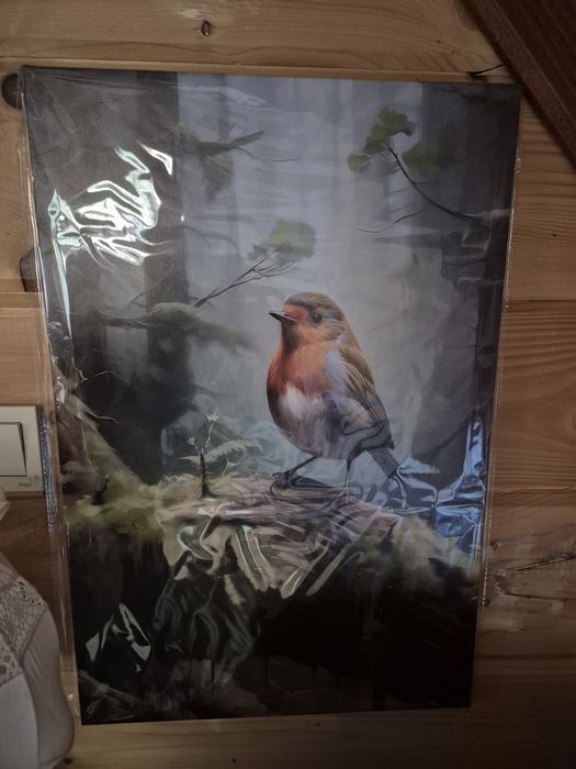 Obrazy nowe 60 x40 cm . Lis rudzik las myśliwy retro prezent vintage
W