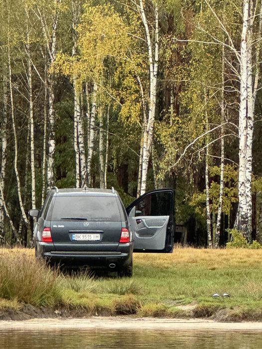 Mercedes benz ML320 w163 2002 року