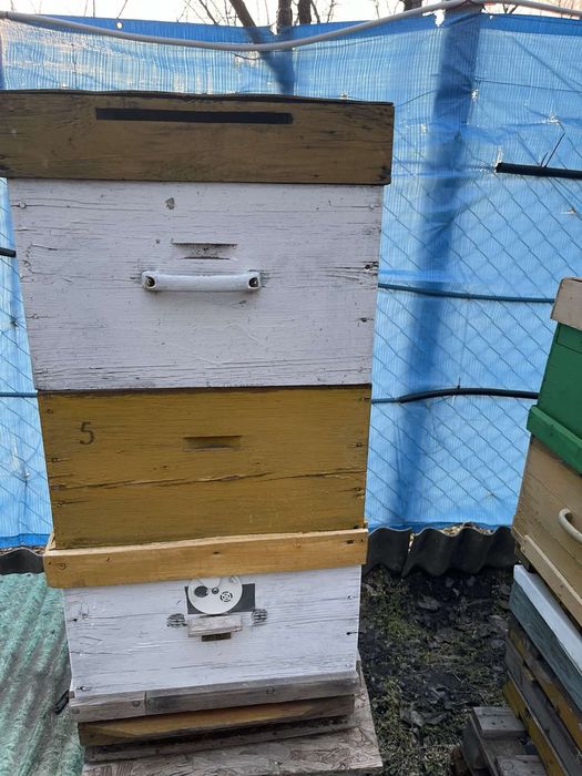 Корпусні вулики,рамки.