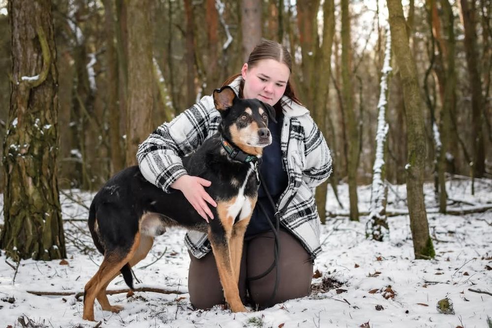 Od szczeniaka w schronisku... Czy uśmiechnie się do niego szczęście?