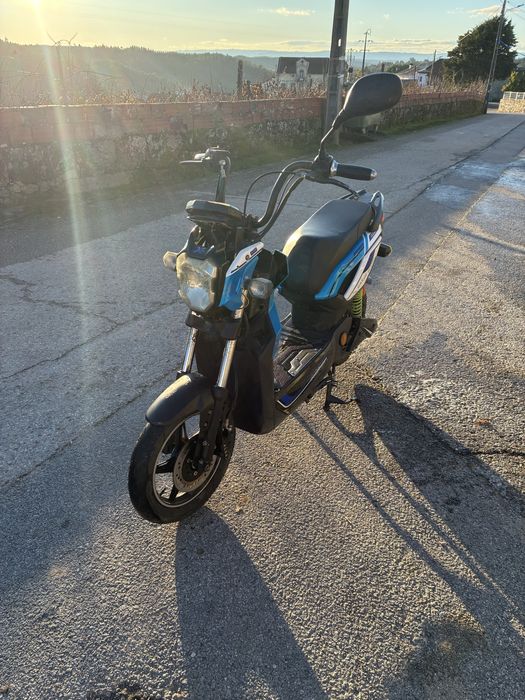 Mota elétrica Goose one