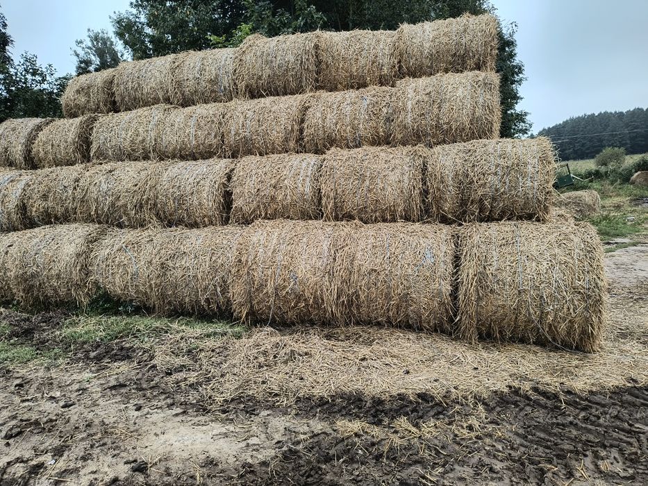 Sprzedam słome belki 120