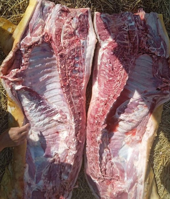 Свинина  домашня