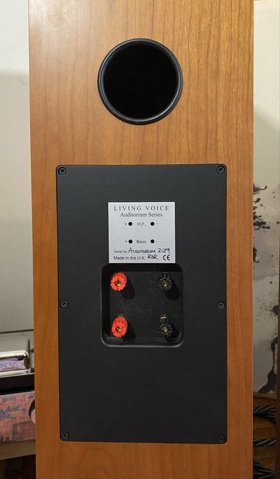 Colunas Living Voice Auditorium R3R