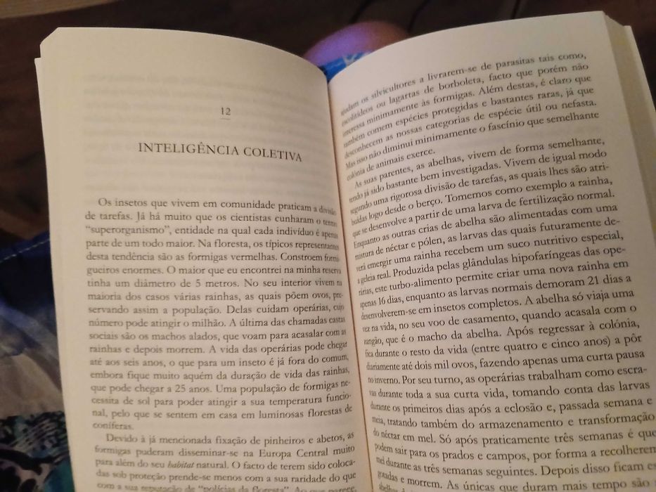 'A vida secreta dos animais', de Peter Wohlleben