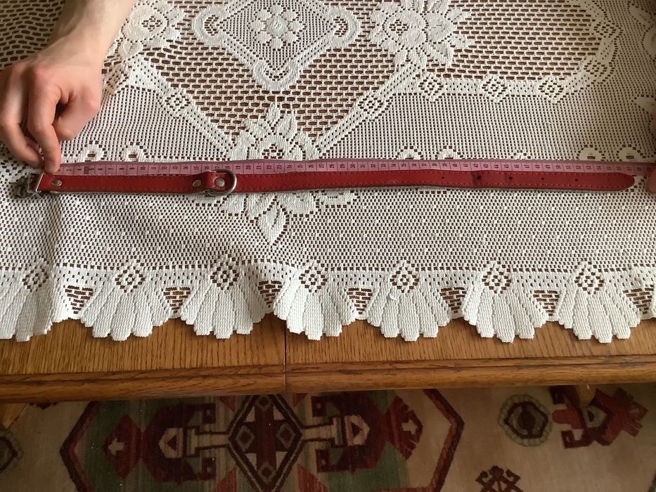 Obroża dla psa używana