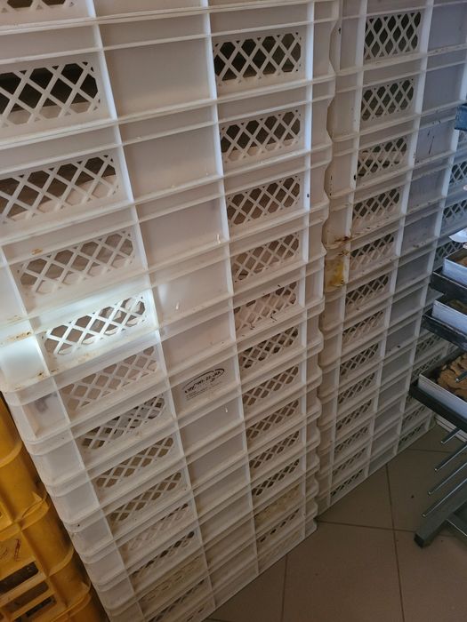 kosze transportowe na pieczywo lub drożdżówki