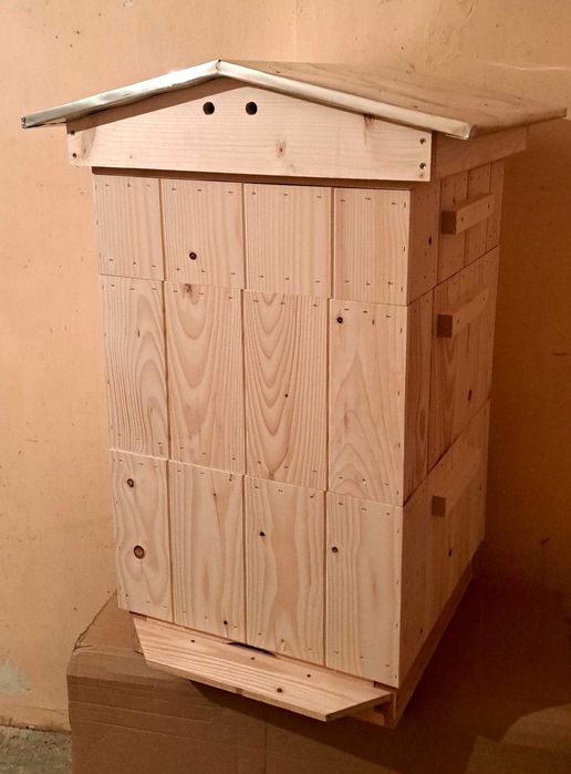 Ul/ule/ul korpusowy/ul wielkopolski/pszczoły