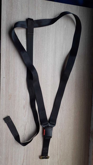 Cintos segurança para ovinho