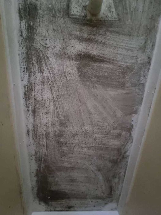 Remoção de Bolor em Paredes e Tetos | Resultado Visível