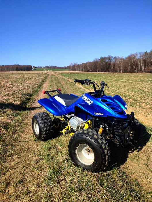 Quad ATV 250 Bashan