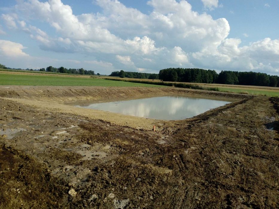 STAW Kopanie stawów Oczek wodnych Koparka Wykopy