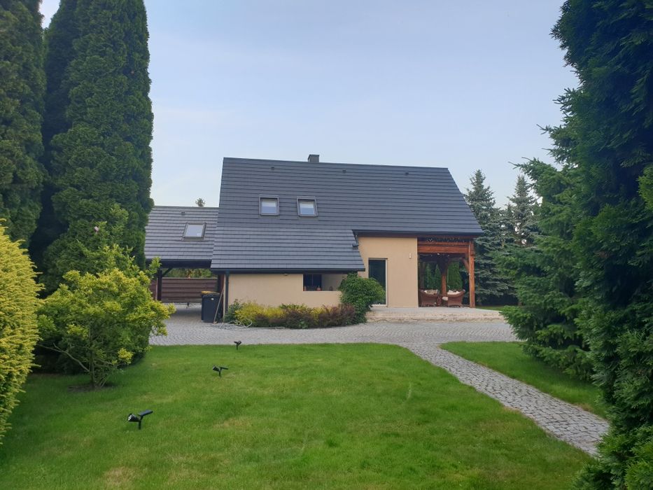 Dom do wynajęcia/house for rent