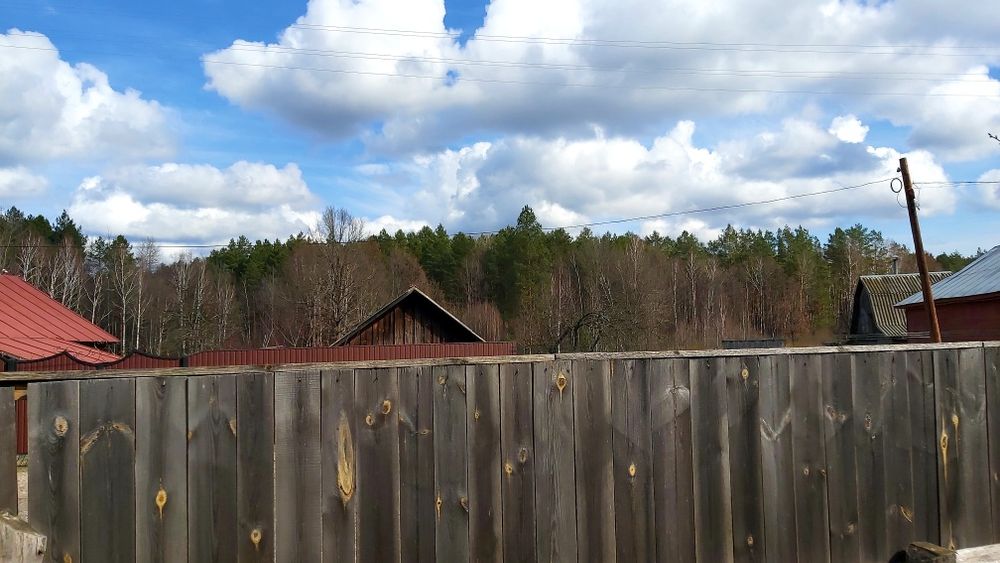 Дом у леса. Олешня. Голубые озёра. Не дорого.