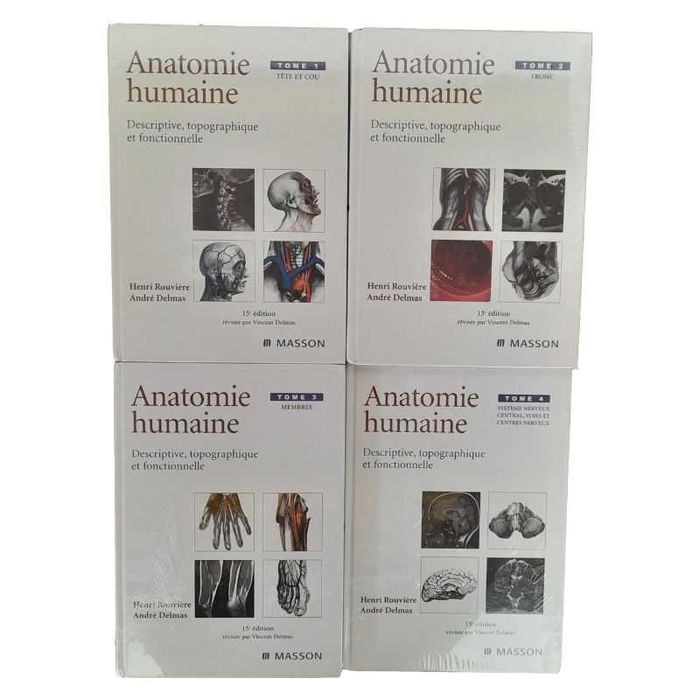 Anatomie Humaine Descriptive Topographique Et Fonctionnelle