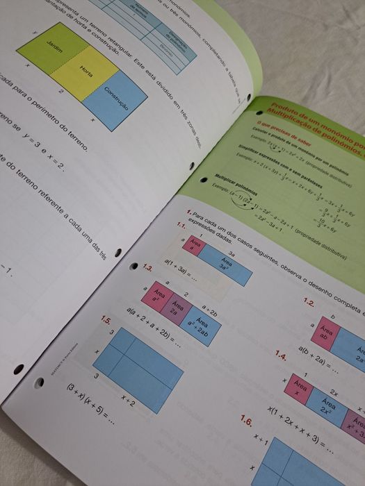 Caderno de tarefas 8 ano - Matemática Dinâmica