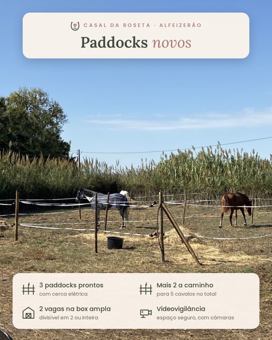 Penso de cavalos / Horse livery – Apenas 2 vagas – Alfeizerão