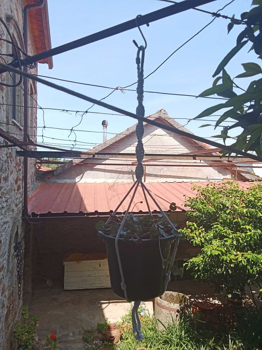 Suporte para plantas