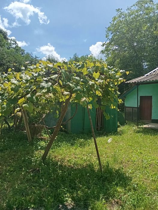 Продається будинок