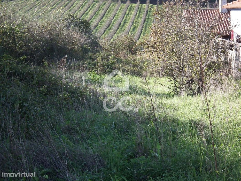 Terreno Rústico com 1240 m²